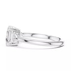 Arc Trilogy - Asscher