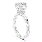 Bow Halo - Oval