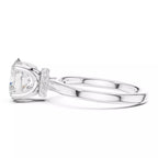 Bow Halo - Oval