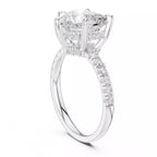 Double Halo Pavé - Heart