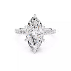 Double Halo Pavé - Marquise