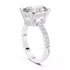 Double Halo Pavé - Oval