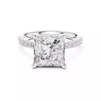 Double Halo Pavé - Princess
