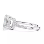 Double Halo Pavé - Princess