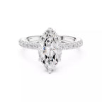 Double Pavé Radiance - Marquise
