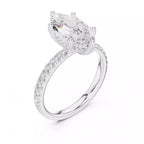 French Pavé Halo - Marquise