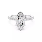 French Pavé Halo - Marquise