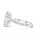 French Pavé Halo - Marquise