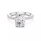 French Pavé Halo - Oval
