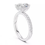 French Pavé Halo - Oval