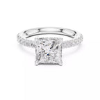 French Pavé Halo - Princess