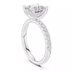 French Pavé Halo - Princess