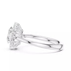 Halo Bloom - Oval