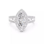 Halo Prestige - Marquise