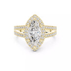 Halo Prestige - Marquise