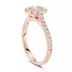 Halo Regal - Round