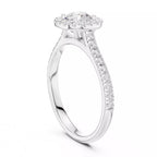 Halo Regal - Round