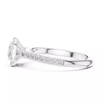 Halo Regal - Round
