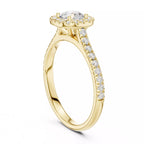 Halo Regal - Round