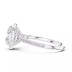 Halo Sovereign - Oval