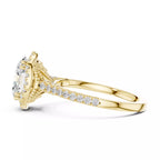 Halo Sovereign - Oval