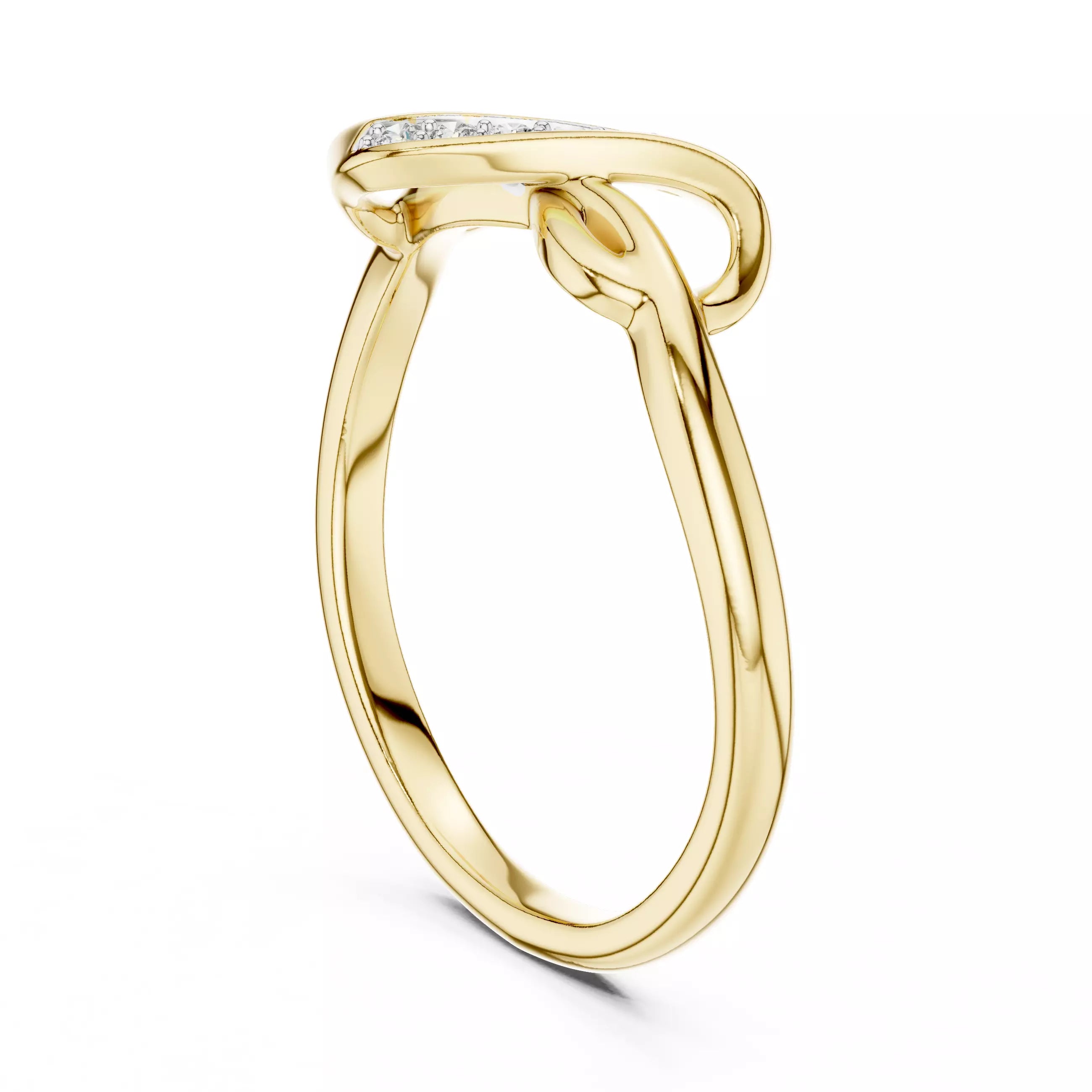 Infinity Knot