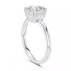 Regent Halo - Asscher
