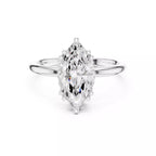 Regent Halo - Marquise