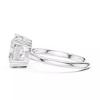 Regent Halo - Oval