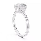 Regent Halo - Round