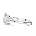 Signature Trio - Oval